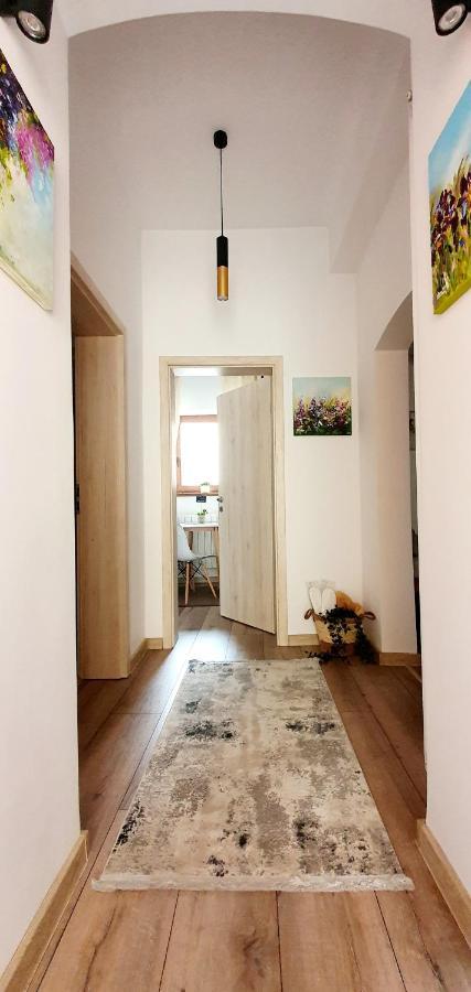 Art Studio Brasov Exterior photo